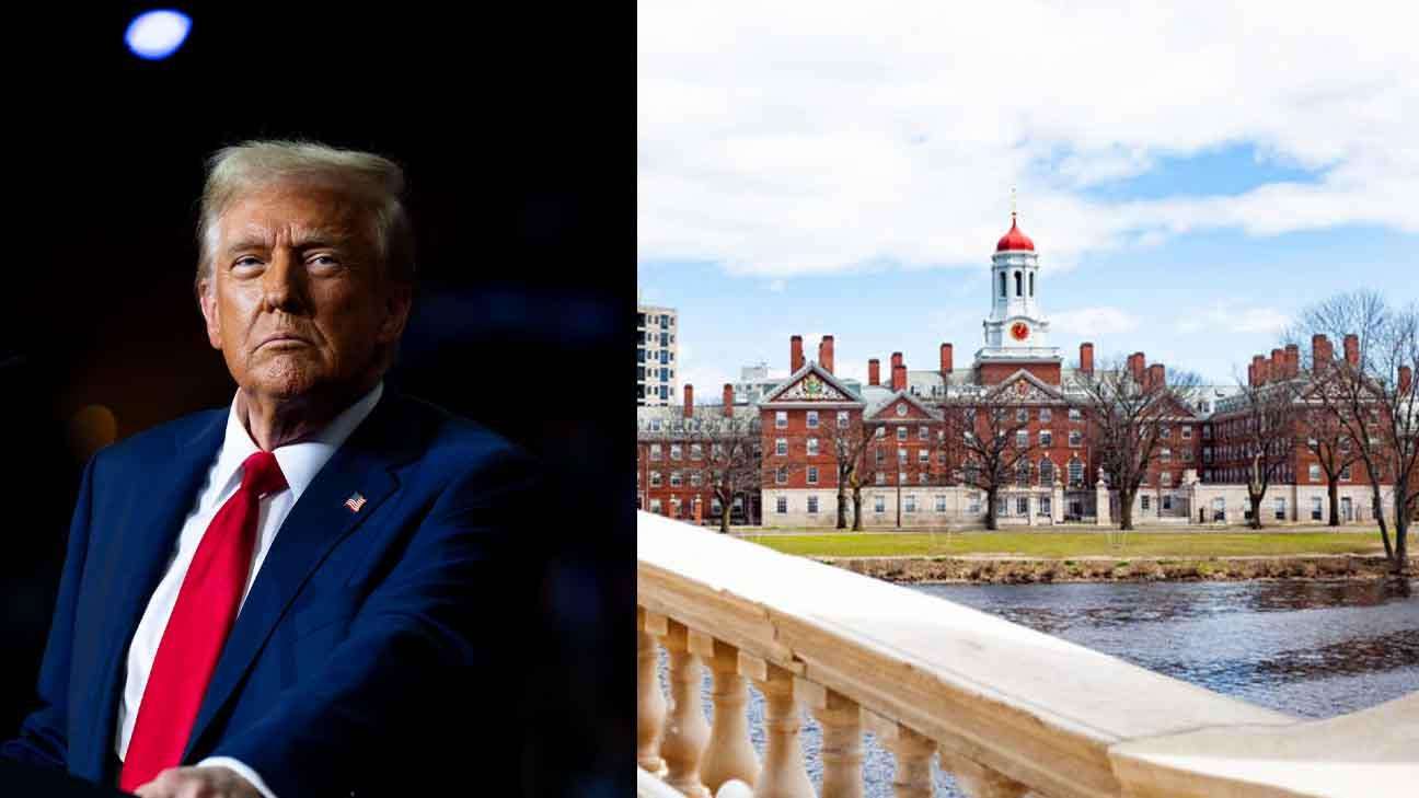 The-Council-of-Mosques